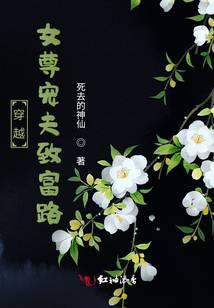 穿越女尊宠夫推荐