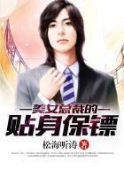 美女总裁的贴身保镖楚峥