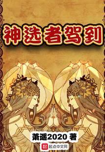 神选者游戏