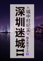 完整版深圳迷城