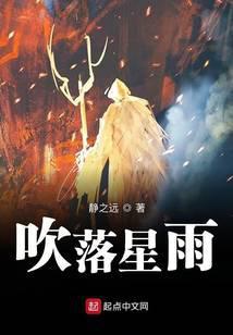 晚风吹落星如雨