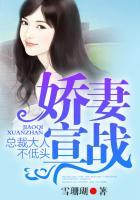 娇妻入怀总裁大人