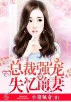 总裁强宠失忆甜妻全文阅读