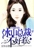 冰山总裁专宠妻