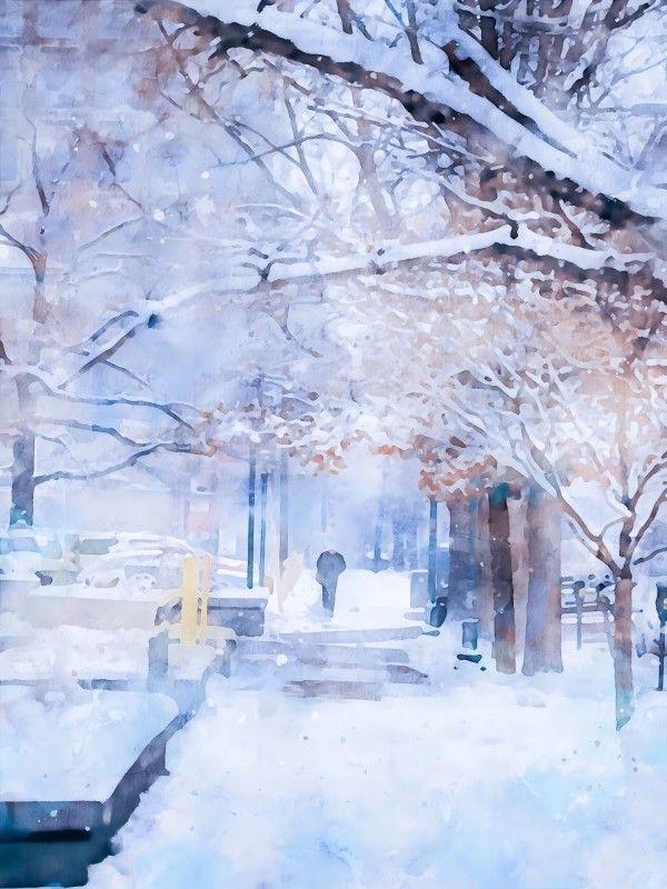 电视剧金婚原著