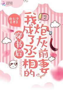 穿书后我成了丞相的炮灰前妻全文免费阅读