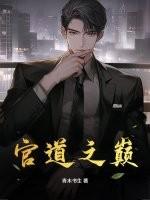 官道之巅峰权力