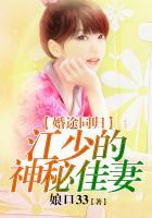 婚途似锦厉少情深如旧