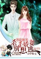 杀手娇妻别想逃全文免费阅读