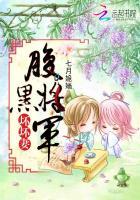 腹黑将军坏坏妻