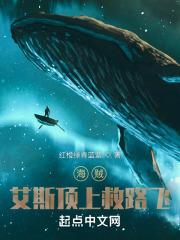 海贼全团将皇级