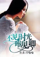 见于不见旧时光