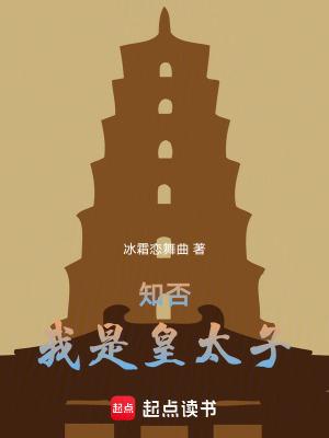 知否我是皇太子libahao