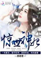 惊世神医妃
