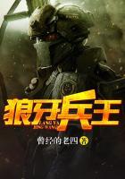 狼牙兵王TXT八零电子书