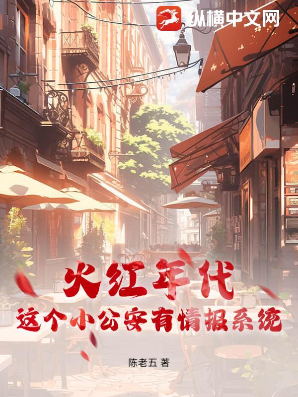 这个小公安有情报系统等级