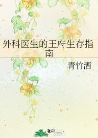外科医生的王府生存指南讲的什么