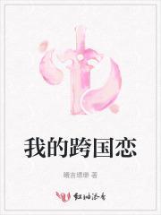 跨国恋电视剧作品全部