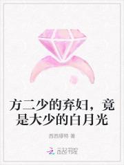 方家大少爷二少爷什么电视剧