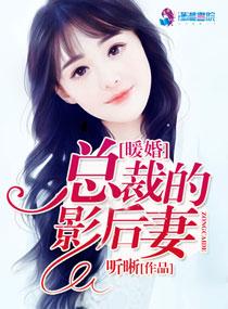 暖婚:总裁的影后妻