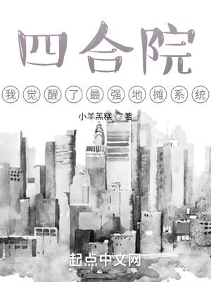 四合院:我觉醒了最强地摊系统