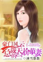 豪门风云:总裁的天价萌妻