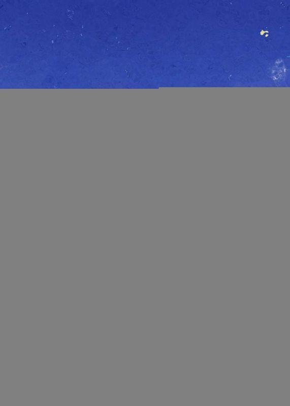 重生后,冷眼看闺蜜怀上超雄儿子