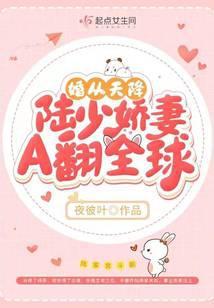 婚从天降,陆少娇妻A翻全球