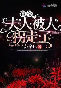 霍爷!夫人被人拐走了!