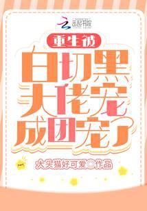 重生被白切黑大佬宠成团宠了