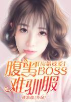 闪婚成爱:腹黑boss难驯服