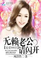 追爱999次:无赖老公请闪开