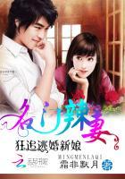 名门辣妻:狂追逃婚新娘