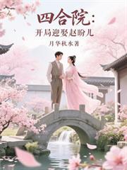 四合院:开局迎娶赵盼儿