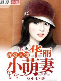 缠爱入髓:华丽小萌妻